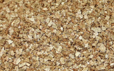 Absorbant vermiculite – A1001